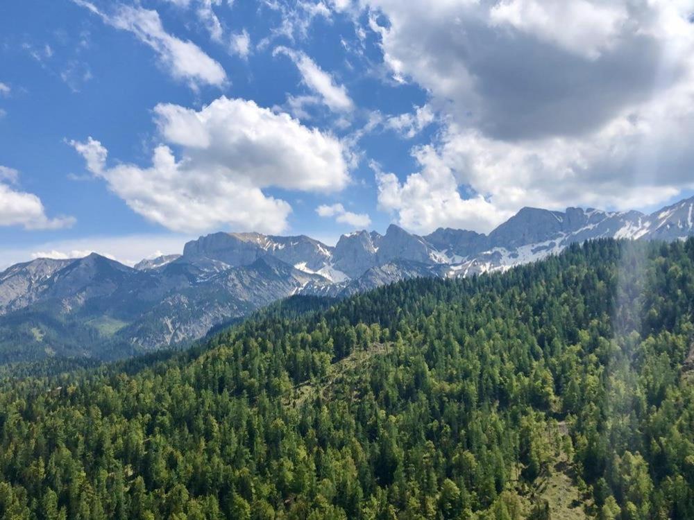 Silberwald